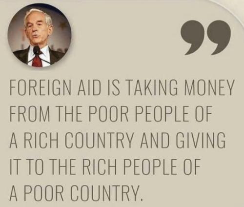 xephula_b1bad84dae9216610a0a85d11a524d1e