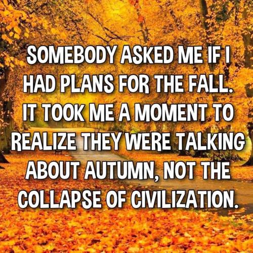 FB_IMG_1666032494310