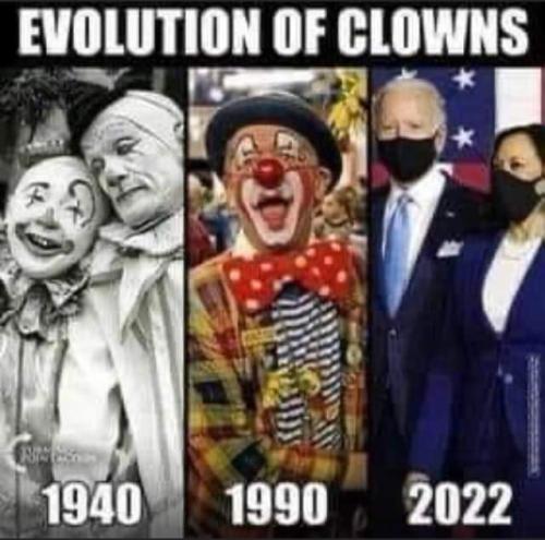 FB_IMG_1665413143835