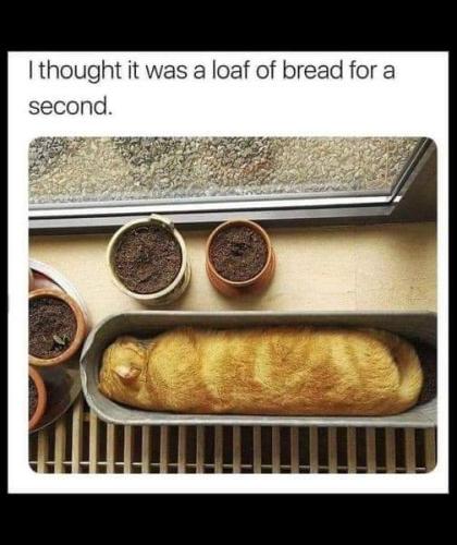 FB_IMG_1666364062438