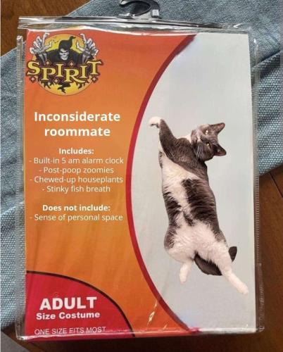 81f24fa3-ac0c-460e-87d4-ae7bdaab4a16