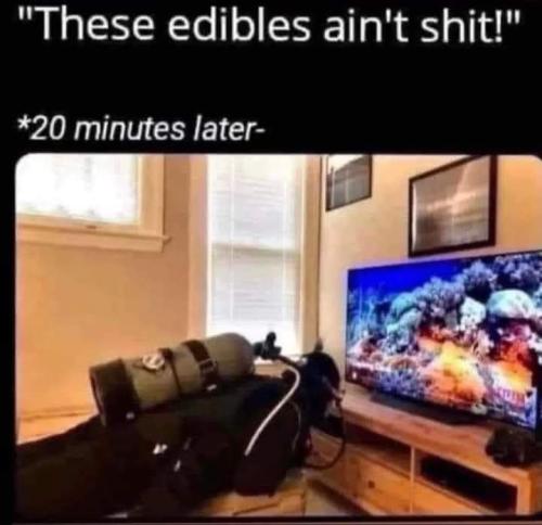 FB_IMG_1665342102887