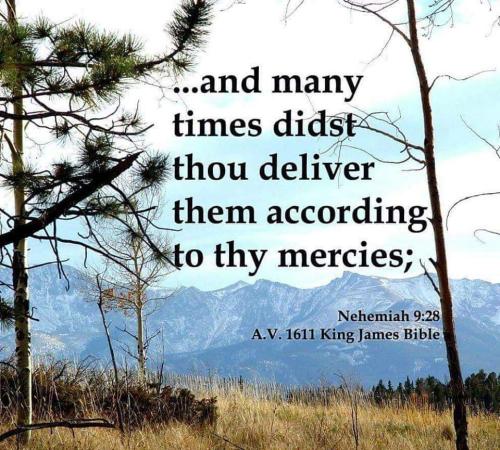 FB_IMG_1664631588346