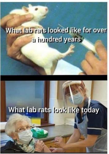 FB_IMG_1664726417314