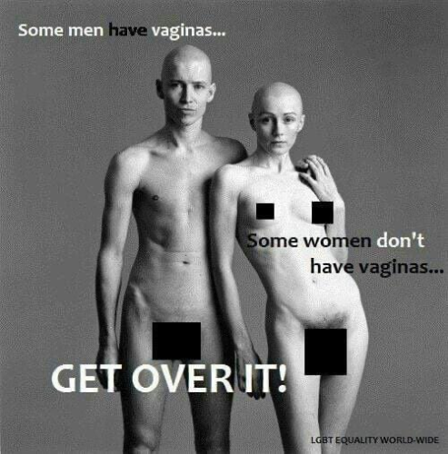 bb2a19c9-ebdd-43c4-b862-bb104a68883d