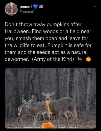 FB_IMG_1665001414426