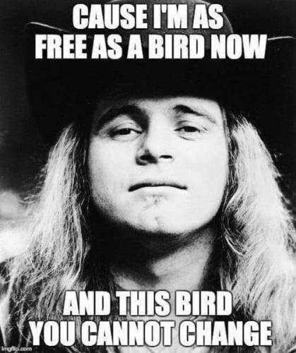 312529268_659122938917975_7351741362043171908_n