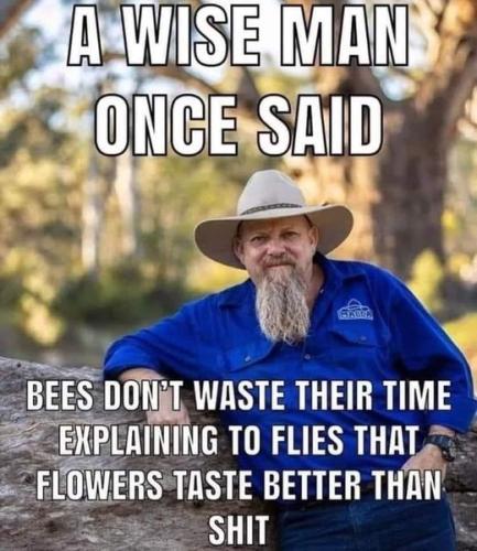 1ffd1f8b8a4a34576ee20cdf7e055f98_1024