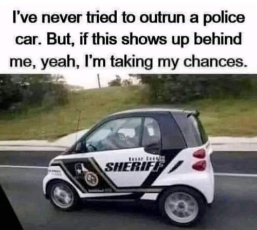 FB_IMG_1664912072744