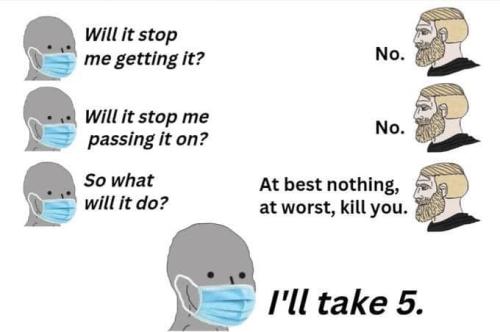 311590503_426430992965227_1836786812782962079_n