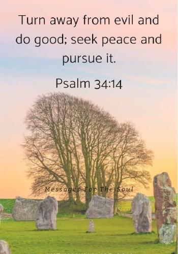 FB_IMG_1665752850018