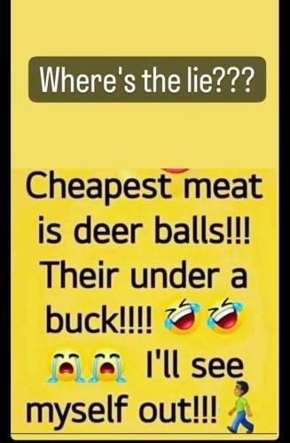 FB_IMG_1666295810066