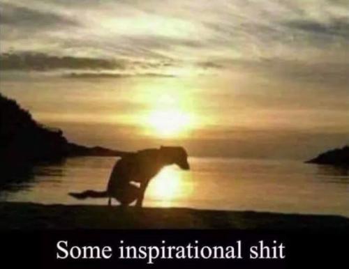 some inspirational shit
