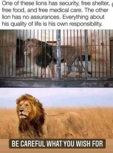 FB_IMG_1666887220734