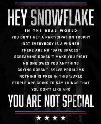 snowflakereality