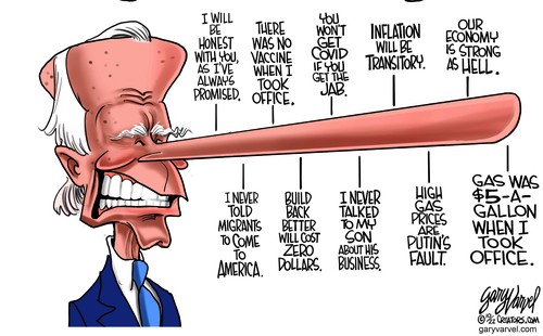 gv103022dAPC-500x310