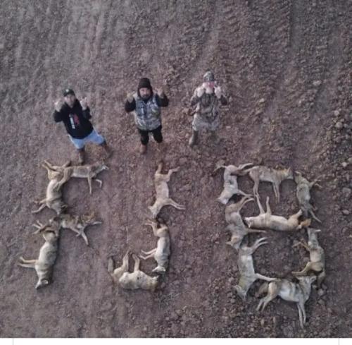 Screenshot_20221020-212506