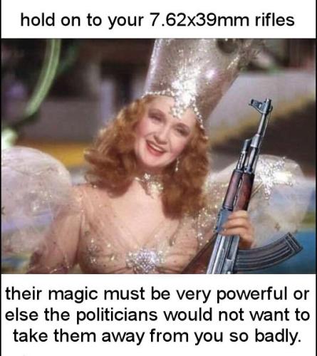 gun control141d