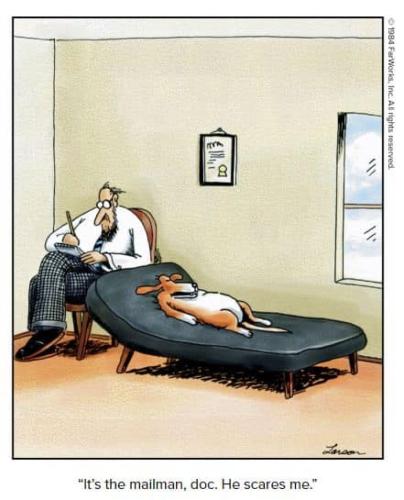 311122912_5720170228033229_3241771601592153866_n