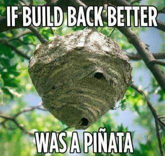 FB_IMG_1665614499465