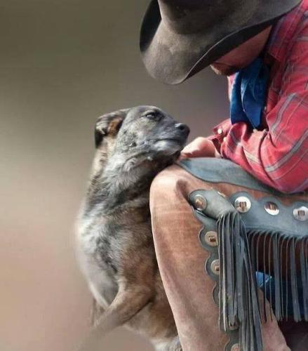 P-8RI0hfTJquNEWrOli3ng