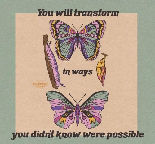 Screenshot_2022-10-26-14-08-02-28_1c337646f29875672b5a61192b9010f9