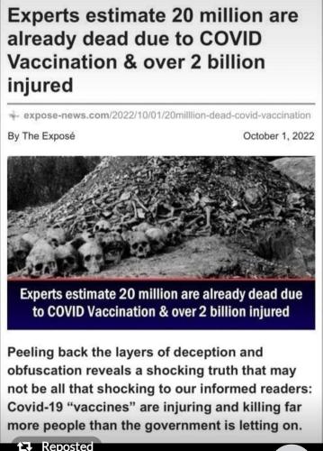 FB_IMG_1666810718532