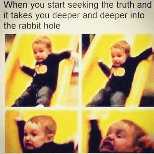 FB_IMG_1666795562573