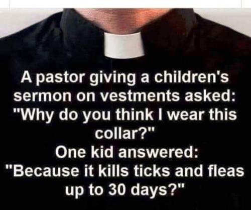FB_IMG_1666804766977