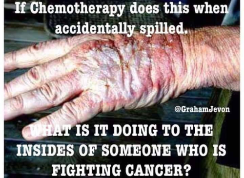 309723528_3131266603851416_1879830165698881020_n