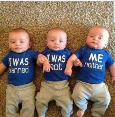 FB_IMG_1664736766788