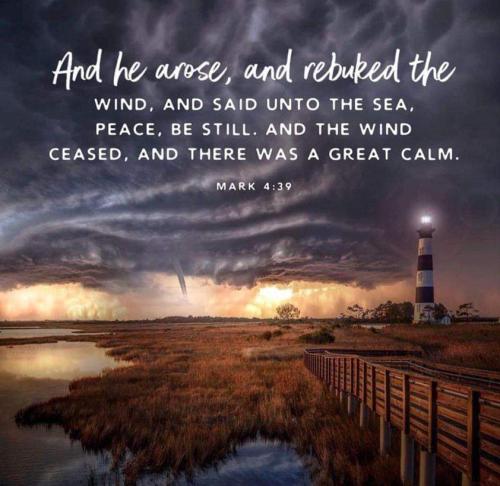 FB_IMG_1667135307865