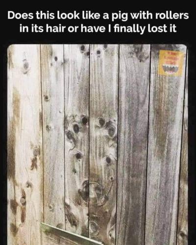 FB_IMG_1664815724621