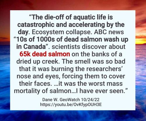 17:58:46 GMT-0400 (EDT)