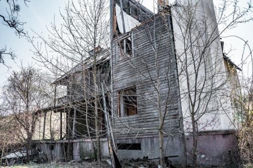 Hoia-Baciu Forest, Romania 2