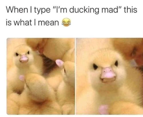 FB_IMG_1664812856830