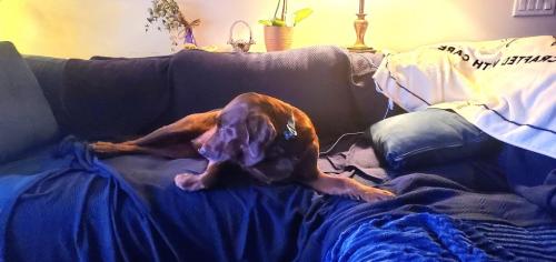 b1efcc4d-2df0-4a0f-a52e-392cac8870e8