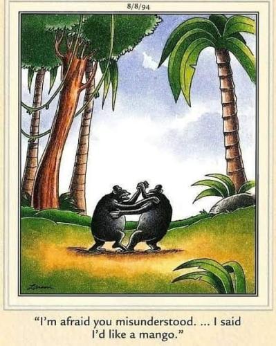 308951829_10167007316130413_4801848822680311652_n