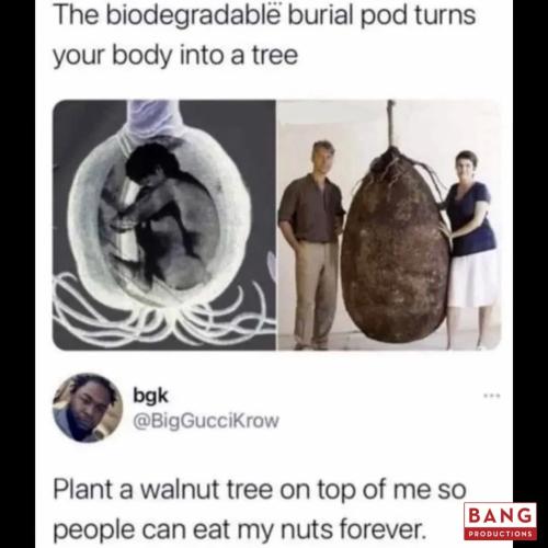 FB_IMG_1665112431693