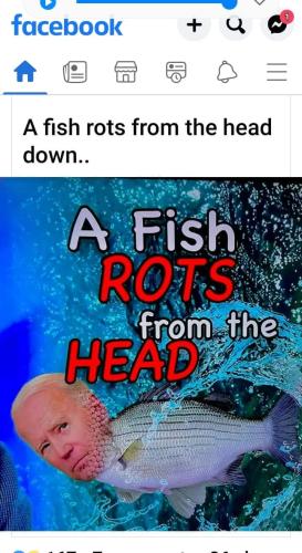 FB_IMG_1665787046466