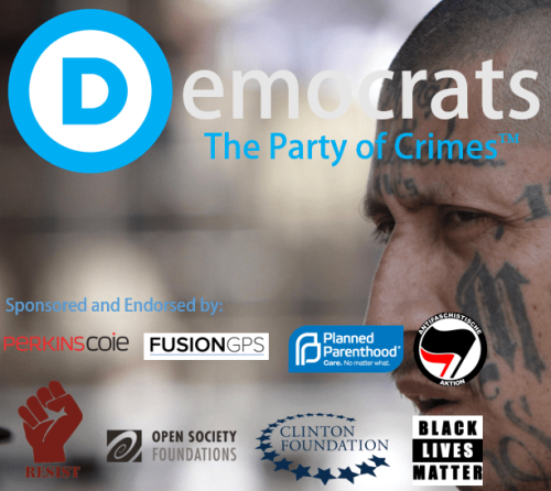 xephula_b7a760faa5f56fc8f917d4c516950f6e