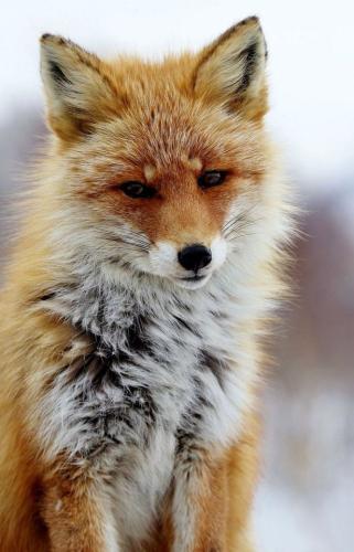 tumblr_p3yz6xjnsO1wa7ypmo1_640