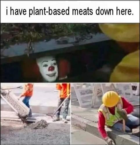i have plant based meats down here