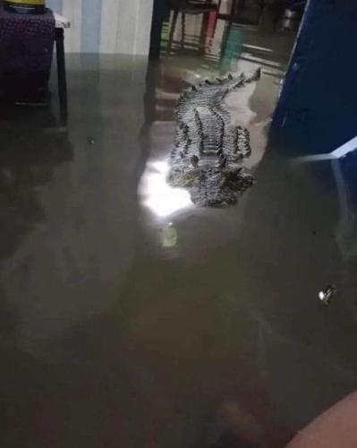 True photo during hurricane ian, Florida