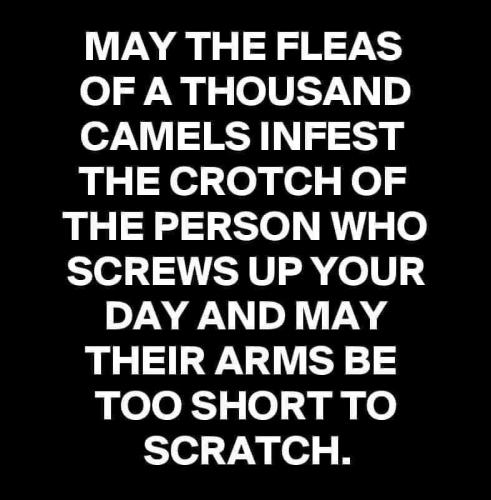 FB_IMG_1666391253263