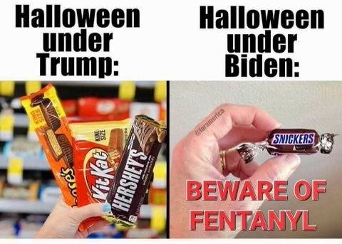 tumblr_d87130844f80b219a1b8fbb4bb2a40cc_4da1fb1c_500