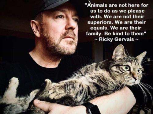 gervais