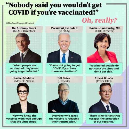 544345344442421242421253522