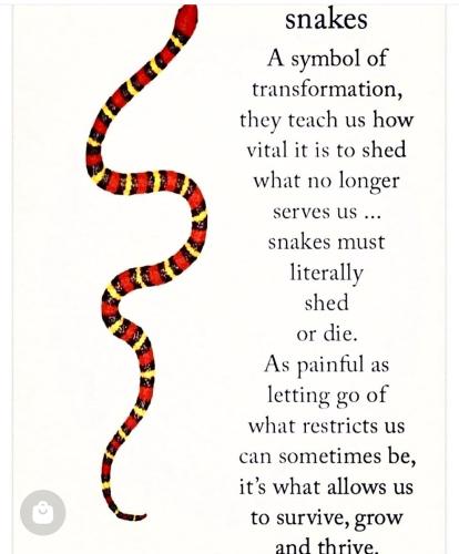 Screenshot_2022-10-26-13-27-26-16_1c337646f29875672b5a61192b9010f9