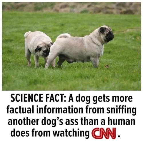 IMG_20221024_175721_517